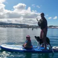 sup experience 3 web